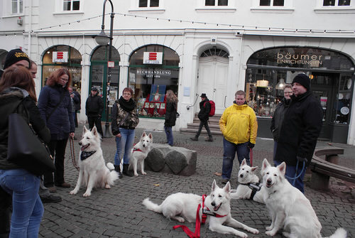 Weihnachtsspaziergang